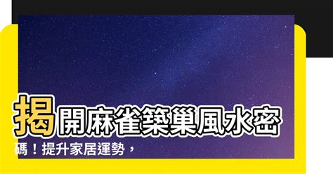 麻雀築巢好運|【麻雀在家築巢風水】麻雀在家築巢風水全解析：吉兆還是凶兆？。